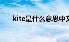 kite是什么意思中文（kite意思解释）