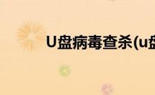 U盘病毒查杀(u盘病毒查杀软件)