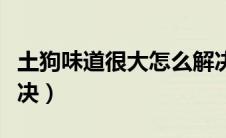 土狗味道很大怎么解决（土狗味道很大如何解决）