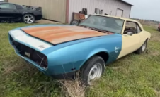 Barn Find Explorer偶然发现了现场的经典宝藏包括珍贵的护卫舰