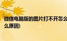 微信电脑版的图片打不开怎么办(电脑版微信图片打不开是什么原因)