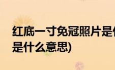 红底一寸免冠照片是什么意思(一寸免冠照片是什么意思)