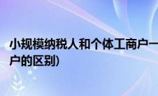 小规模纳税人和个体工商户一样嘛(小规模纳税人和个体工商户的区别)