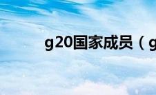 g20国家成员（g20是什么组织）