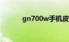 gn700w手机皮套（gn700w）