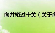 向井裕过十关（关于向井裕过十关的介绍）