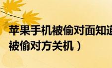 苹果手机被偷对面知道我锁屏密码（苹果手机被偷对方关机）