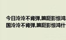 今日泠泠不肯弹,蹁跹影惊鸿怎么读（相忘谁先忘,倾国是故国泠泠不肯弹,蹁跹影惊鸿什么意思）