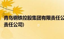 青岛钢铁控股集团有限责任公司地址(青岛钢铁控股集团有限责任公司)