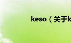 keso（关于keso的介绍）