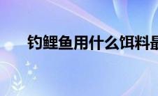 钓鲤鱼用什么饵料最好（原来是这些）