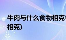 牛肉与什么食物相克香哈网(牛肉与什么食物相克)