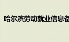 哈尔滨劳动就业信息备案管理系统官方网站