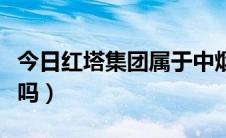 今日红塔集团属于中烟吗（红塔集团属于国企吗）