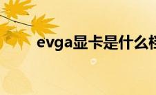 evga显卡是什么档次（evga显卡）