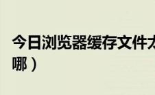 今日浏览器缓存文件太多（浏览器缓存文件在哪）