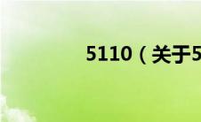 5110（关于5110的介绍）