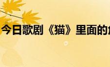 今日歌剧《猫》里面的角色都叫什么猫的名字