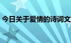 今日关于爱情的诗词文案（关于爱情的诗词）