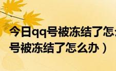 今日qq号被冻结了怎么办能否人工解封（QQ号被冻结了怎么办）