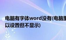 电脑有字体word没有(电脑里已经安装字体 但是word里可以设置但不显示)