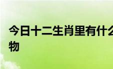 今日十二生肖里有什么动物是看同一首歌的动物