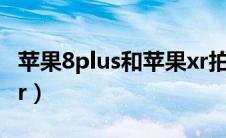 苹果8plus和苹果xr拍照（苹果8plus和苹果xr）