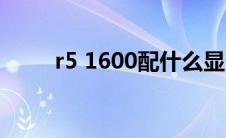 r5 1600配什么显卡好（r5 1600）