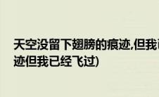 天空没留下翅膀的痕迹,但我已飞过(天空没有留下翅膀的痕迹但我已经飞过)