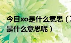 今日xo是什么意思（XO是什么意思XXOO又是什么意思呢）