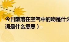 今日散落在空气中的吻是什么歌（《星空下的吻》前面的歌词是什么意思）