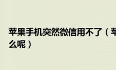 苹果手机突然微信用不了（苹果手机不能用微信的原因是什么呢）