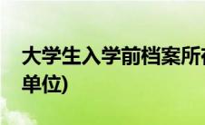 大学生入学前档案所在单位(入学前档案所在单位)