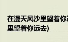 在漫天风沙里望着你远去原唱版(在漫天风沙里望着你远去)