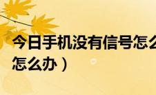 今日手机没有信号怎么办小米（手机没有信号怎么办）