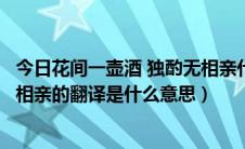 今日花间一壶酒 独酌无相亲什么意思一（花间一壶酒独酌无相亲的翻译是什么意思）