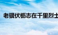 老骥伏枥志在千里烈士暮年壮心不已的解释