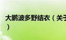 大鹏波多野结衣（关于大鹏波多野结衣的介绍）