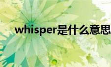 whisper是什么意思（whisper的释义）