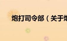 炮打司令部（关于炮打司令部的介绍）