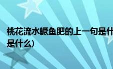 桃花流水鳜鱼肥的上一句是什么诗(桃花流水鳜鱼肥的上一句是什么)