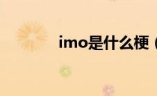 imo是什么梗（imo是什么）