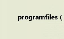 programfiles（programfiles）