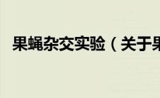 果蝇杂交实验（关于果蝇杂交实验的介绍）