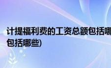 计提福利费的工资总额包括哪些项目(计提福利费的工资总额包括哪些)