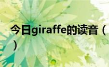 今日giraffe的读音（giraffe怎么读音是什么）