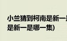 小兰猜到柯南是新一是哪一集(小兰知道柯南是新一是哪一集)