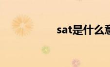 sat是什么意思（sat）