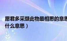 愿君多采撷此物最相思的意思（诗句愿君多采撷此物最相思什么意思）