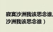 寂寞沙洲我该思念谁,自你走后心憔悴（寂寞沙洲我该思念谁）